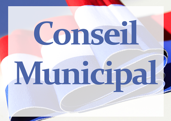 Conseil-municipal_zoom_colorbox