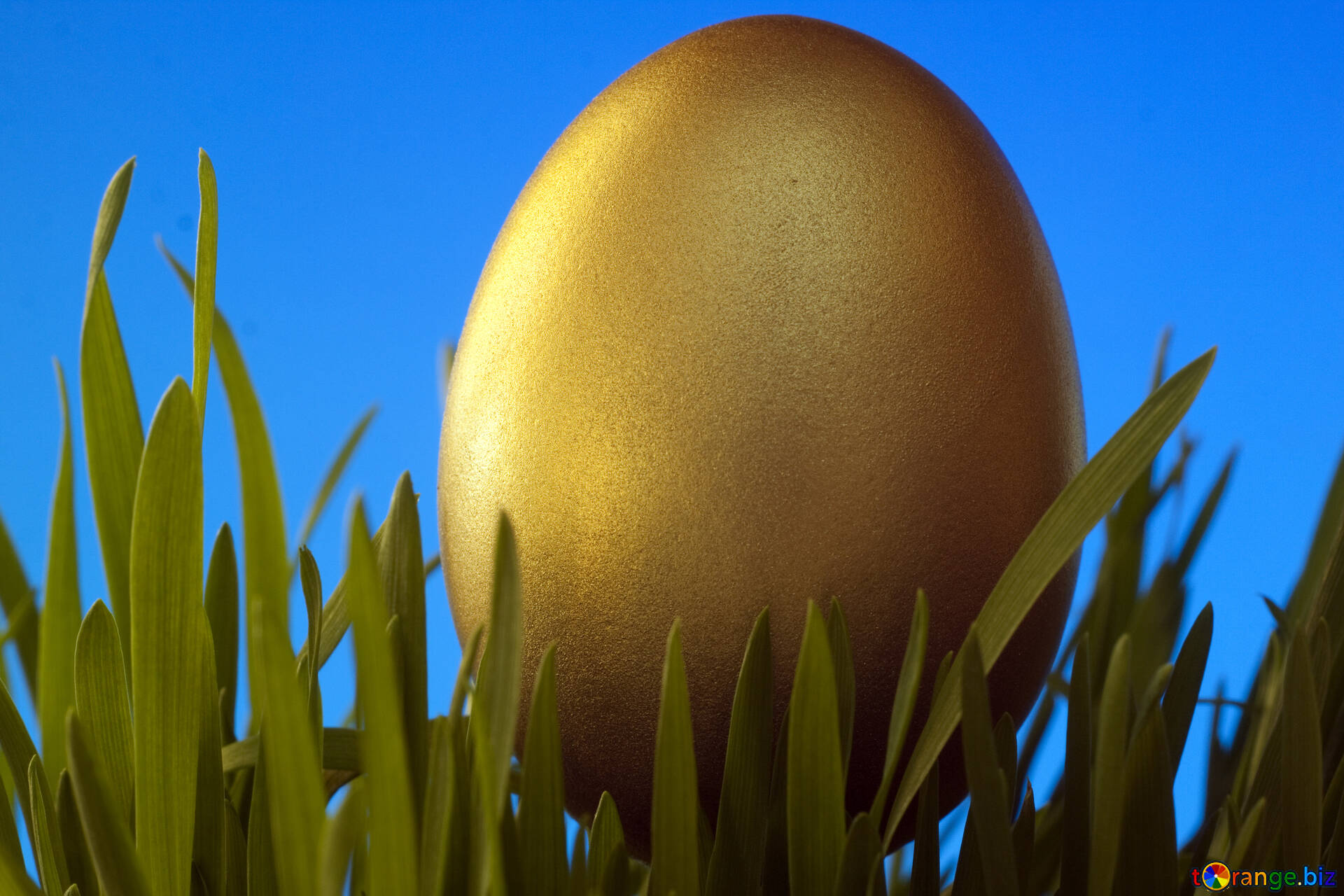 Viens retrouver l’œuf d'or le samedi 30 avril sur Saint-Evarzec