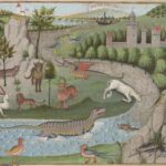 Les «créatures fantastiques» À LA MÉDIATHÈQUE