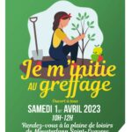 Initiation au greffage d'arbres fruitiers.