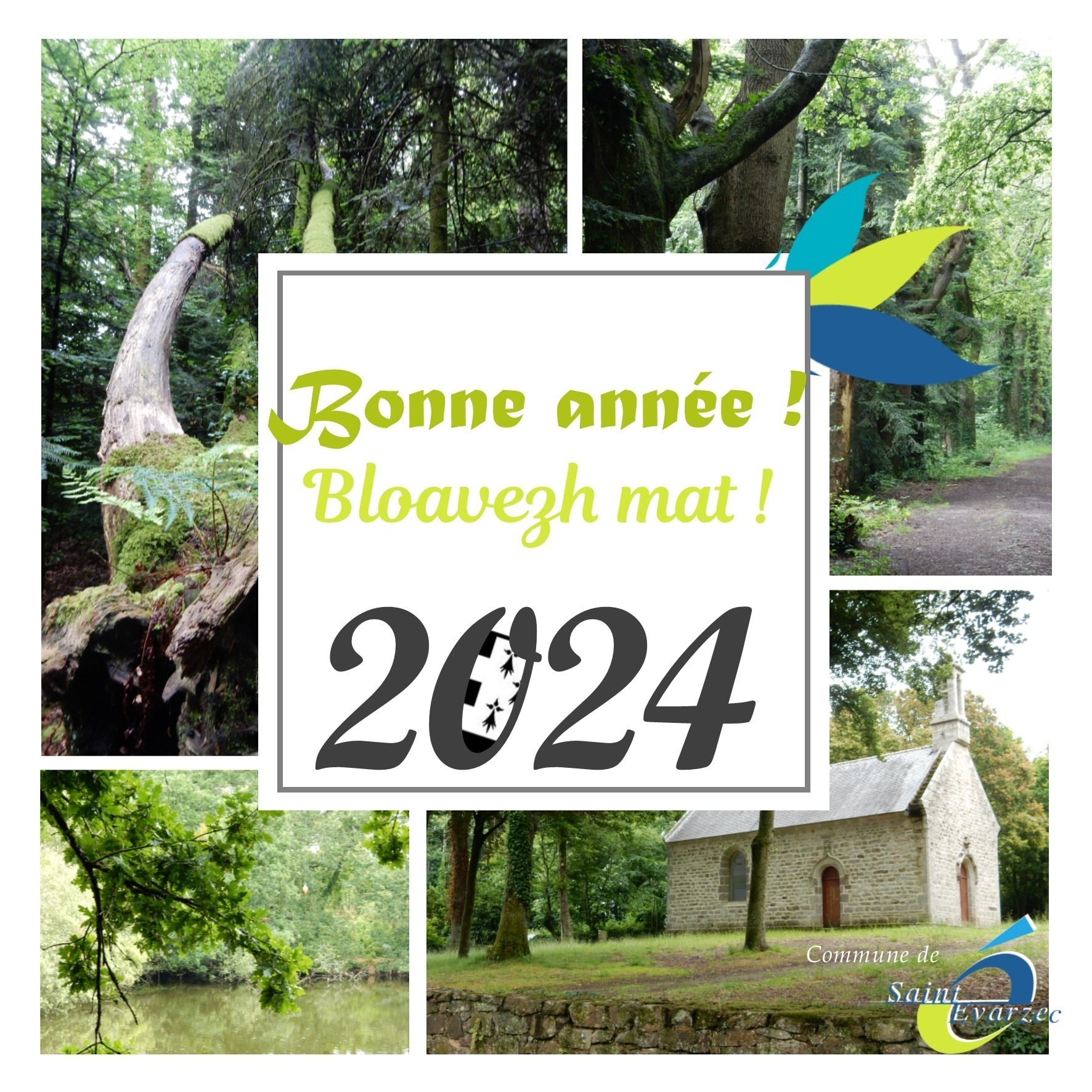 Natural ! Cartes de vœux associations 2024