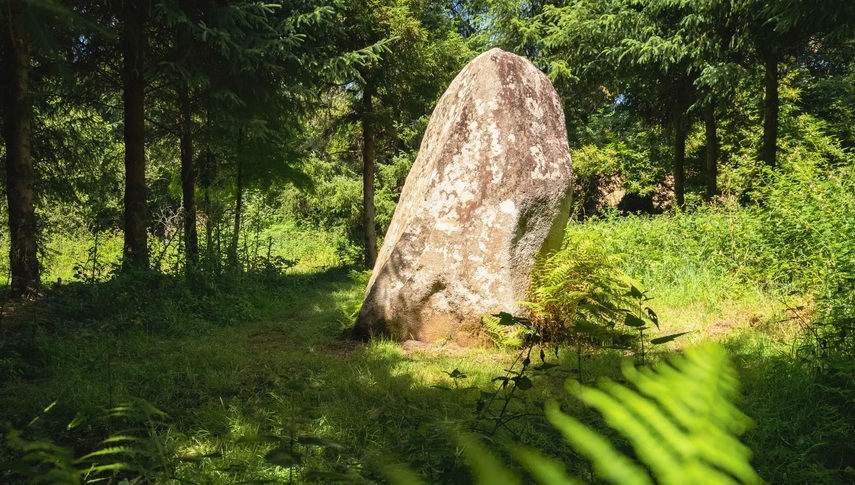 Le Chemin du Menhir