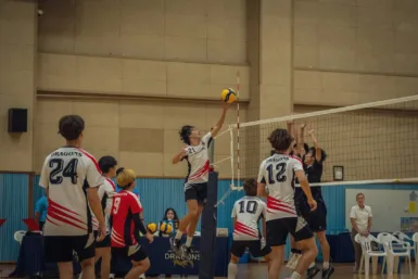 volleyball